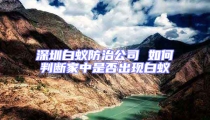 深圳白蟻防治公司 如何判斷家中是否出現白蟻