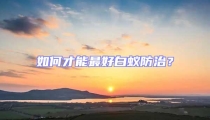 如何才能最好白蟻防治?