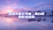 深圳滅鼠公司第二章白蟻的形態結構