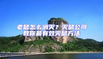 老鼠怎么消滅?滅鼠公司教你最有效滅鼠方法