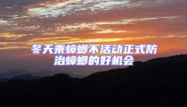 冬天乘蟑螂不活動(dòng)正式防治蟑螂的好機(jī)會(huì)