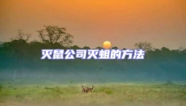滅鼠公司滅蛆的方法