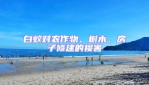 白蟻對農(nóng)作物、樹木、房子修建的損害