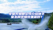 專業滅蟑螂公司介紹地下室怎樣滅蟑效果最好?
