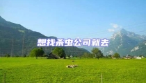 想找殺蟲公司就去