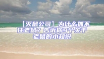 【滅鼠公司】為什么抓不住老鼠?告訴你9個(gè)關(guān)于老鼠的小知識(shí)