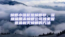 蟑螂小強(qiáng)繁殖蟑螂卵,深圳鹽田殺蟑螂公司獨(dú)家報(bào)道最新滅蟑螂的方法