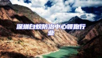 深圳白蟻防治中心領跑行業