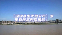 【深圳殺蟲滅鼠公司】家里有跳蚤如何根除?
