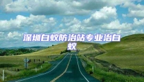 深圳白蟻防治站專業(yè)治白蟻