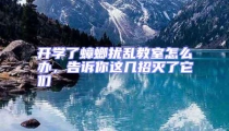開學(xué)了蟑螂擾亂教室怎么辦,告訴你這幾招滅了它們