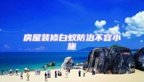 房屋裝修白蟻防治不容小施