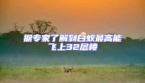 據(jù)專(zhuān)家了解到白蟻?zhàn)罡吣茱w上32層樓