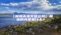 【深圳殺蟲(chóng)滅鼠公司】臭蟲(chóng)的克星是什么?