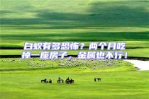 白蟻有多恐怖？兩個月吃掉一座房子，金屬也不行！