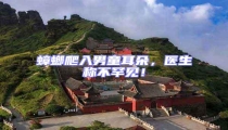 蟑螂爬入男童耳朵,醫生稱不罕見!