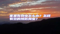 家里有臭蟲(chóng)怎么辦?怎樣有效的預(yù)防臭蟲(chóng)?