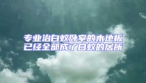 專(zhuān)業(yè)治白蟻臥室的木地板已經(jīng)全部成了白蟻的居所