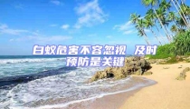 白蟻危害不容忽視 及時預(yù)防是關(guān)鍵