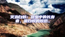 滅治白蟻:昆蟲中的長壽者,是白蟻的蟻后。
