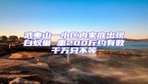 武夷山一小區(qū)內(nèi)家庭出現(xiàn)白蟻巢 重200斤約有數(shù)千萬只不等