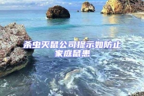 殺蟲滅鼠公司提示如防止家庭鼠患