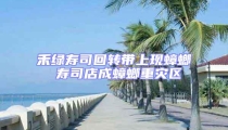 禾綠壽司回轉帶上現蟑螂 壽司店成蟑螂重災區