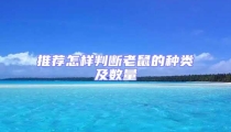 推薦怎樣判斷老鼠的種類及數(shù)量