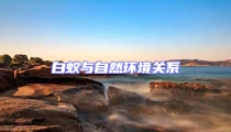 白蟻與自然環境關系