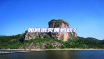 如何消滅黃螞蟻?