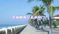 滅蟑螂有什么小竅門？