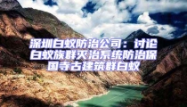 深圳白蟻防治公司：討論白蟻?zhàn)迦簻缰蜗到y(tǒng)防治保國(guó)寺古建筑群白蟻
