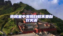 市民家中發現白蟻不要自行滅殺