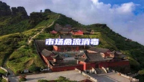 市場禽流消毒