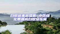 白蟻越來越猖獗 小區(qū)綠化帶竟成白蟻安樂窩