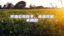 滅蟲公司在手,殺蟲滅鼠不用愁