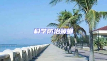 科學(xué)防治蟑螂