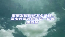 家里發(fā)現(xiàn)白蟻怎么處理,殺蟲公司為你解決一切害蟲的煩