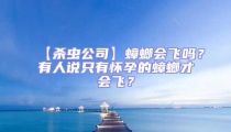 【殺蟲公司】蟑螂會飛嗎?有人說只有懷孕的蟑螂才會飛?