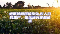 老鼠除糟蹋糧食外,對人們的生產(chǎn)、生活還有哪些危害