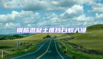 鋼筋混凝土難擋白蟻入侵