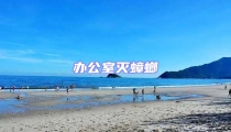 辦公室滅蟑螂