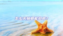 怎么滅蟑螂能徹底?