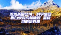 深圳殺蟲公司:科學家欲將白蟻變成新能源 最終目的是克隆