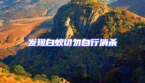發現白蟻切勿自行消殺