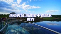殺蟲滅鼠,清除家中老鼠不費力