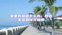 家里有蟑螂怎么辦,教你家庭如何滅蟑螂