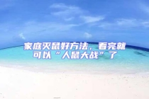 家庭滅鼠好方法，看完就可以“人鼠大戰(zhàn)”了