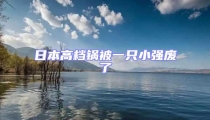 日本高檔鍋被一只小強廢了