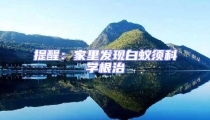 提醒:家里發(fā)現(xiàn)白蟻須科學(xué)根治